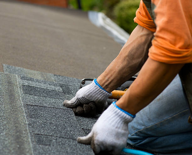 Best Shingle Roofing Installation  in Point Of Rocks, MD